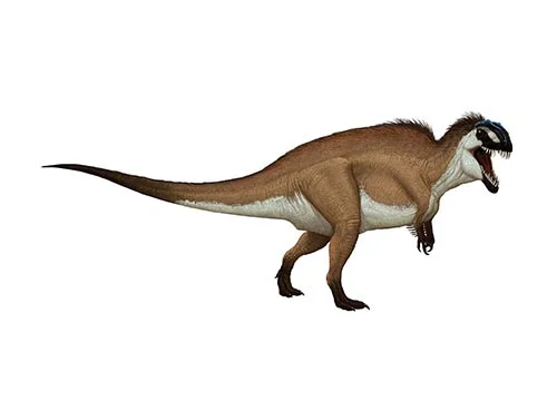 Acrocanthosaurus‭ (‬Акрокантозавр‭)