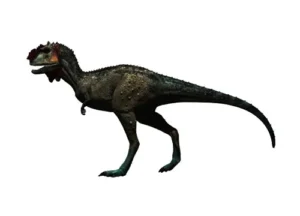 Majungatholus