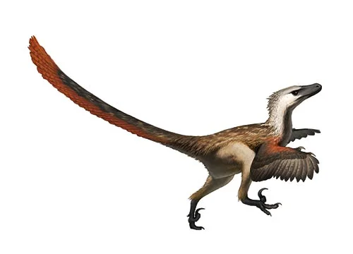 Velociraptor‭ (‬Велоцираптор‭)