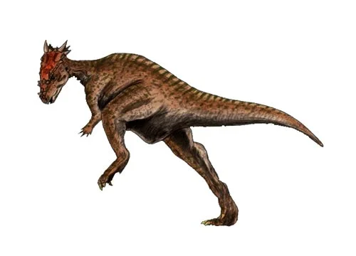 Dracorex ‭(Король драконів‭)
