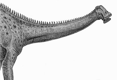 Нігерезавр (Nigersaurus)