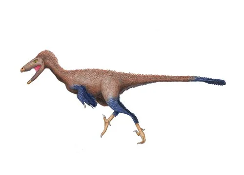 Troodon (ріжучий зуб)